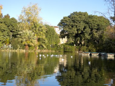 kuşlar ciutadella Park