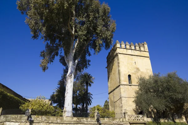 Torre dei leoni.. Alcazar di Cordoba . — Foto Stock