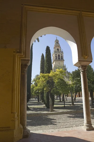 A székesegyház a Cordoba — Stock Fotó