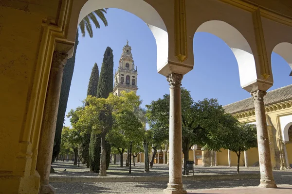 A székesegyház a Cordoba — Stock Fotó