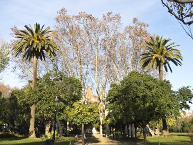 umbraculum: bina Bahçe, ciutadella park, barcelona