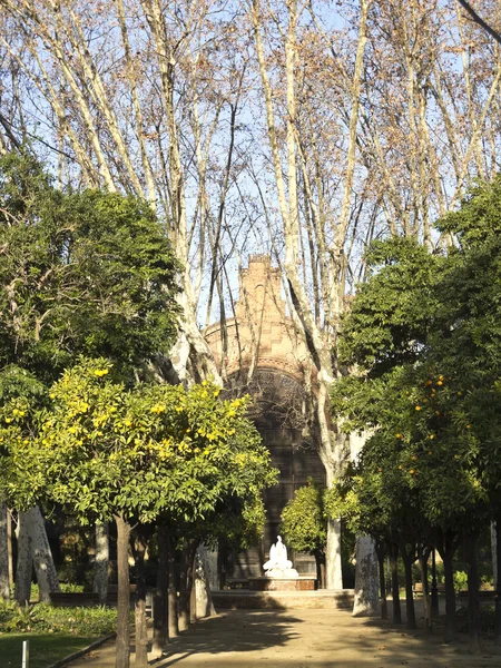 Umbraculum: bygga trädgård, Ciutadellaparken, barcelona — Stockfoto