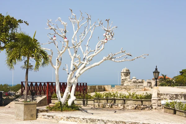 Château de San Felipe de Barajas — Photo