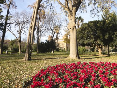 çiçekli köşe ciutadella park.