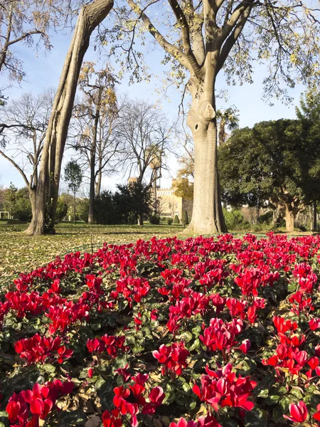 Blommig hörnet ciutadella park. — Stockfoto