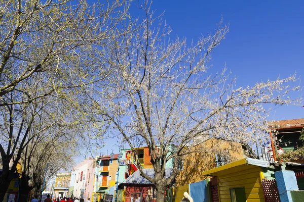 Colorfull street in Caminito. — Stock Photo, Image