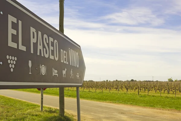 The wine walk, Uruguay — Stock Photo, Image