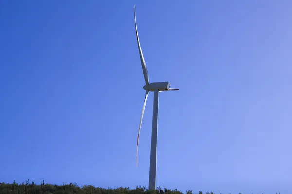 Windturbine — Stock fotografie