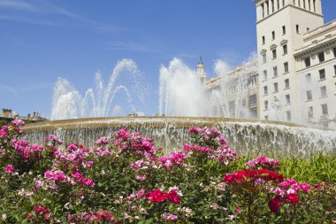Katalonya Meydanı. Barcelona, İspanya.