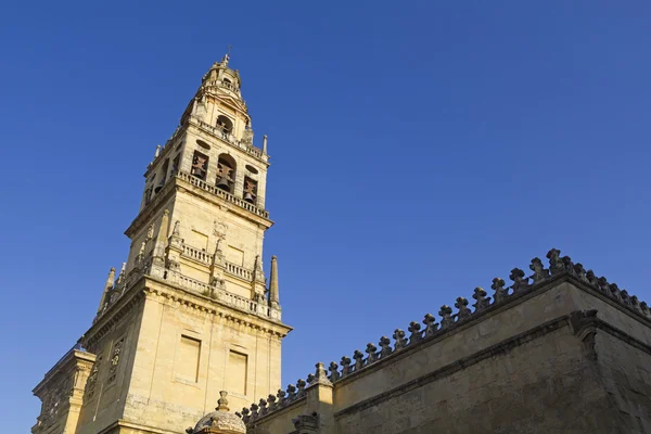 Belfort van de kathedraal-moskee van cordoba — Stockfoto