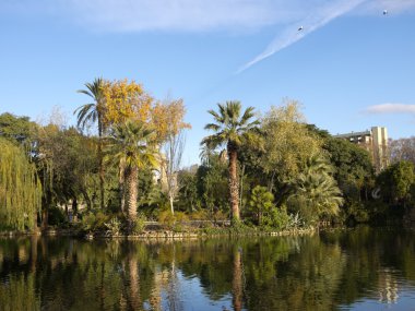 gölet ciutadella park