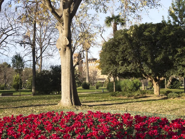 Coin fleuri Parc Ciutadella . — Photo