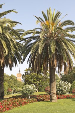 Ciutadella Park. Barcelona