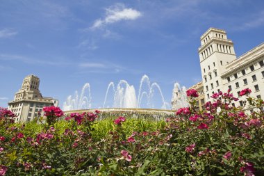 Barcelona: şehrin tam merkezine