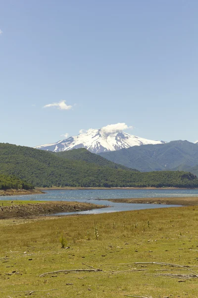 Parque Nacional Nalcas, Chile . —  Fotos de Stock