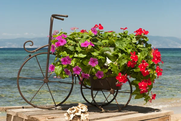 Bouquet de mariage de roses sur la plage — Photo