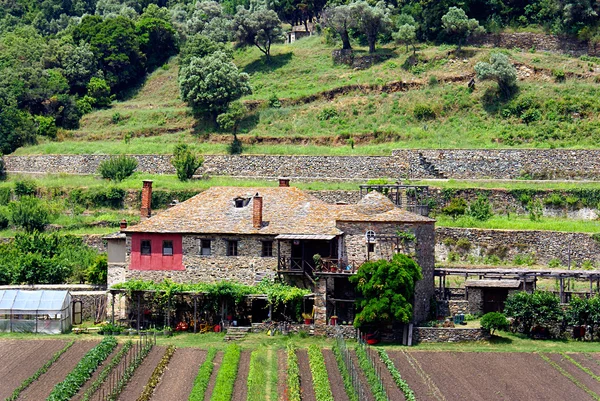 Casa de campo tradicional y lechuga en hileras en la veg —  Fotos de Stock