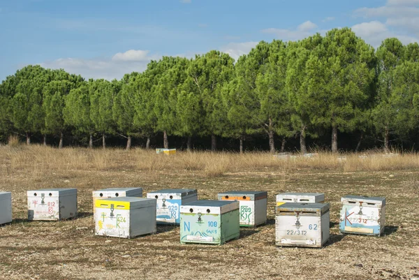 Пчелиные ульи в Греции — стоковое фото