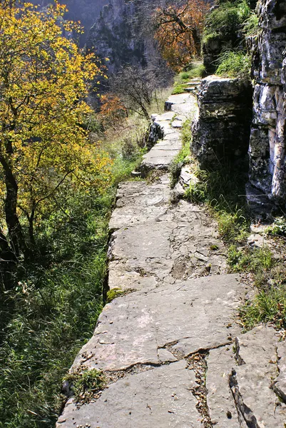 Tradiční cesta kamenů v kaňonu vikos v Epiru, Řecko — Stock fotografie
