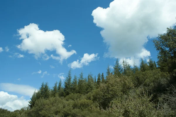 Зеленый холм Пейзаж с фантастическими облаками на заднем плане — стоковое фото