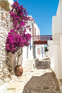 Yunanistan 'ın Sifnos adasındaki geleneksel Yunan sokağı