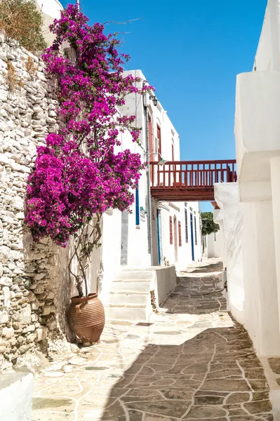 Callejón griego tradicional en la isla de Sifnos, Grecia Imágenes De Stock Sin Royalties Gratis