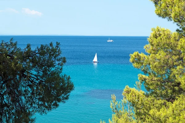 Letovisko poloostrova Chalkidiki v Řecku — Stock fotografie