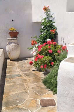 geleneksel Yunan yard sifnos Island, Yunanistan