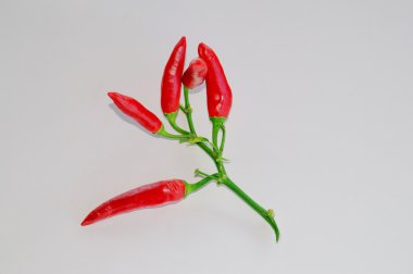 Beyaz üzerine taze kırmızı biber.