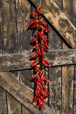 Kırmızı Pul Biber