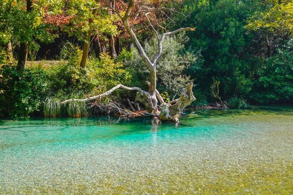 Őszi táj, a színes levelek a fák, a folyó hátsó reggel — Stock Fotó