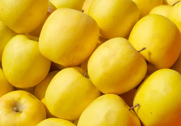 Manzanas amarillas como fondo — Foto de Stock