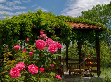 Panorama yeşil ile kırsal chalkidiki yarımadanın bes