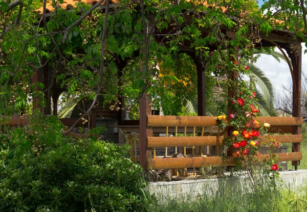 Panorama del campo Península de Chalkidiki con verde fie — Foto de Stock