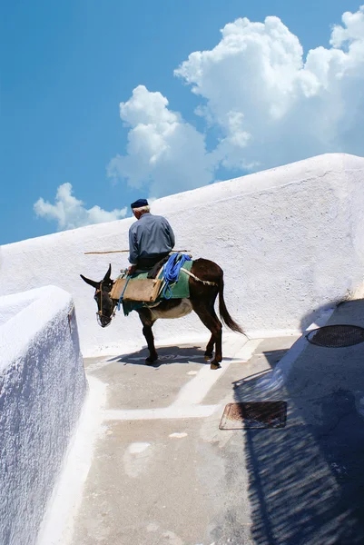 Burro en las escaleras de Santorini, la vida griega tradicional — Foto de Stock