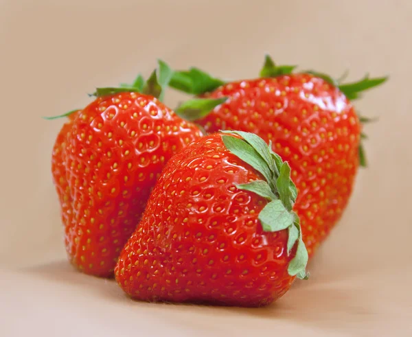 Fresh strawberry l — Stock Photo, Image