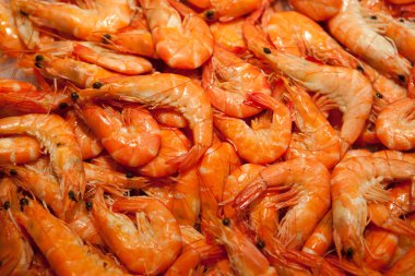 karidesler çok sayıda