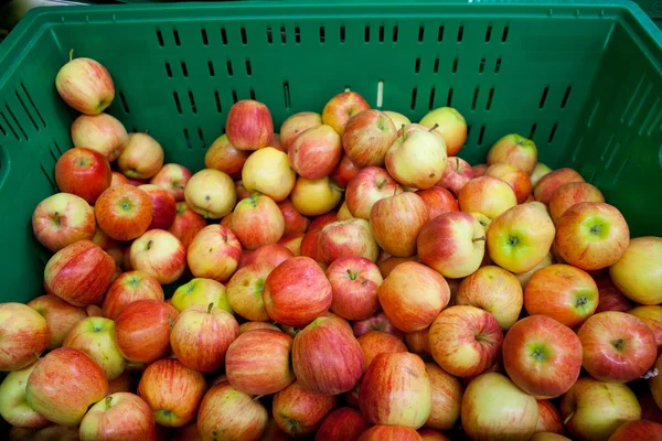 Świeże jabłka w zasobniku — Zdjęcie stockowe