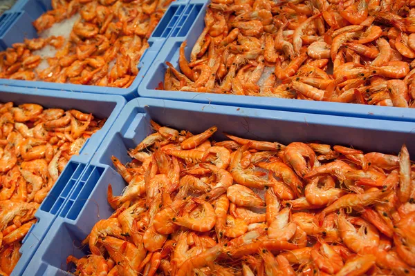 Syrové krevety na zásobníky — Stock fotografie