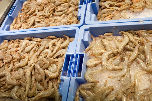 Camarones crudos en bandejas —  Fotos de Stock