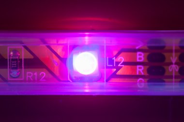 Mor ışık, makro görünümü yol açtı.