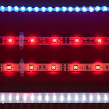 LED ışık bantları
