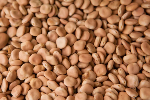 Haricot beans background — Stock Photo, Image