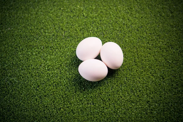 Grupo de huevos en el césped verde — Foto de Stock