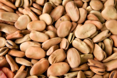 Kuru fasulye arka plan