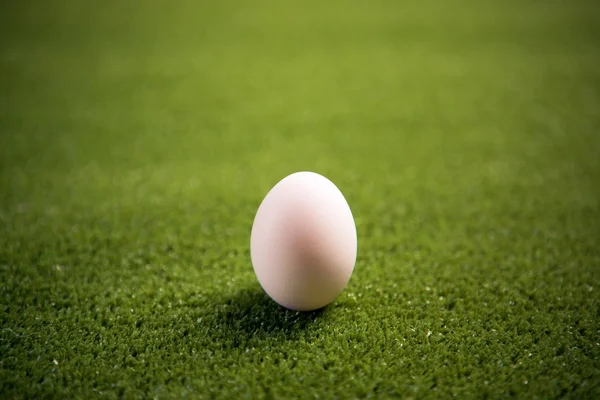 Slepičí vejce na trávníku — Stock fotografie