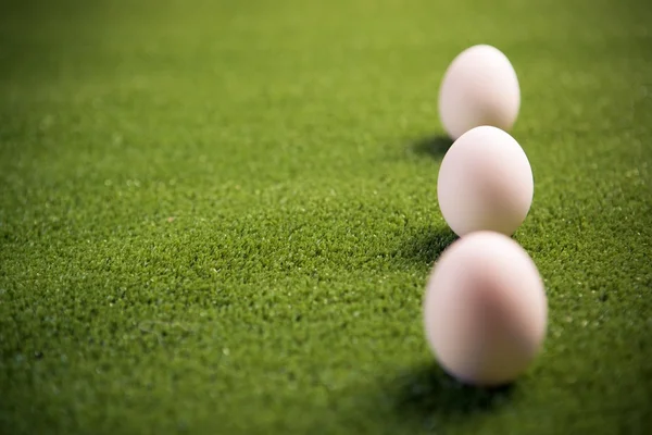 Three chicken eggs on the lawn — Stock Photo, Image