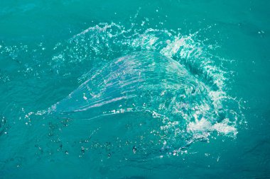 soyut sıçramasına su