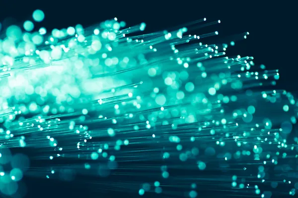 Fiber optik konuları