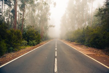 Forest Road la esperanza